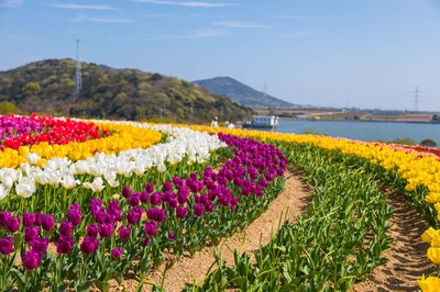 🏞️ 산테파르크 타하라 (타하라시 아시가이케 농업공원) 이미지 2